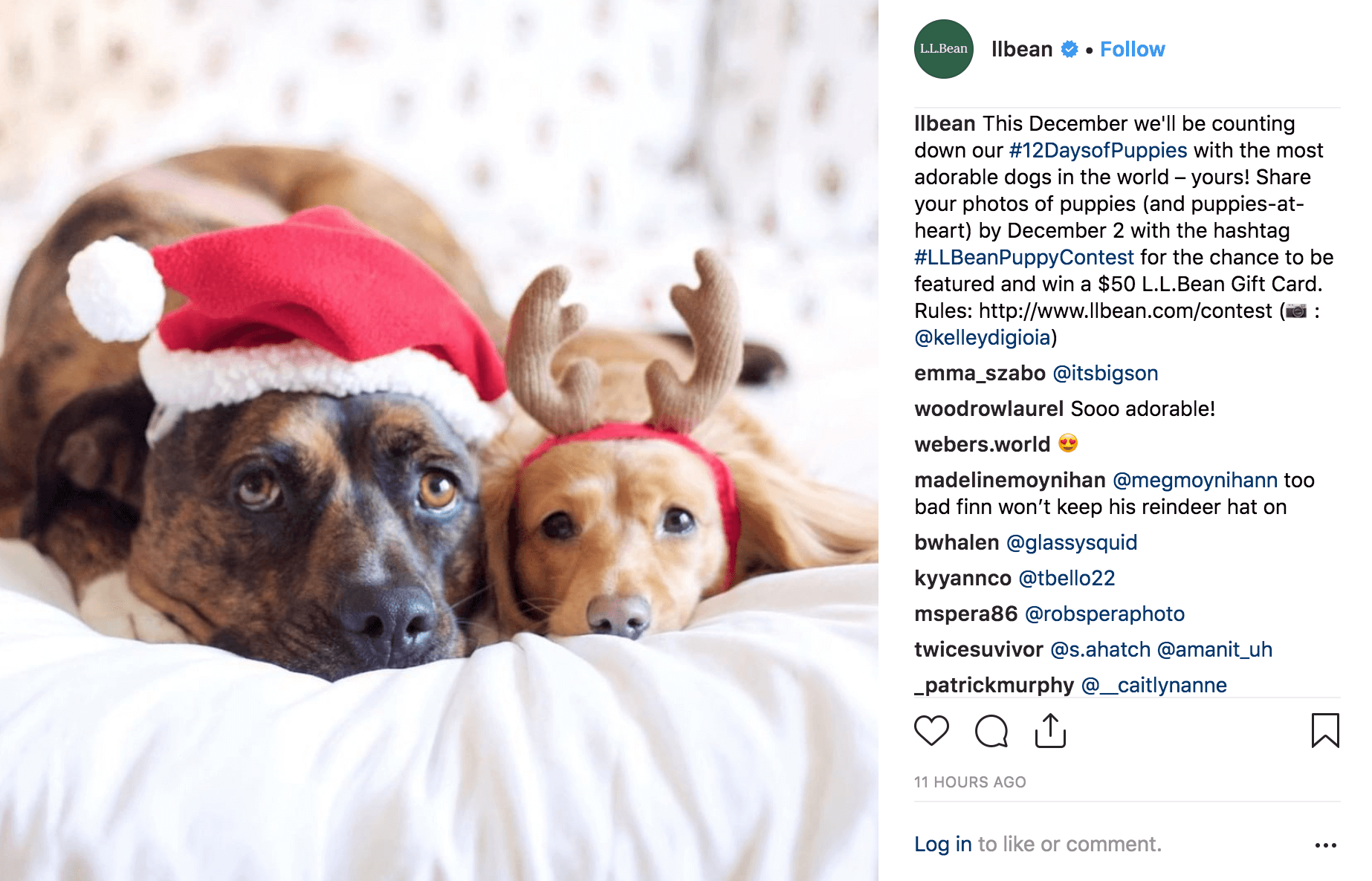 l.l.bean’s holiday campaign